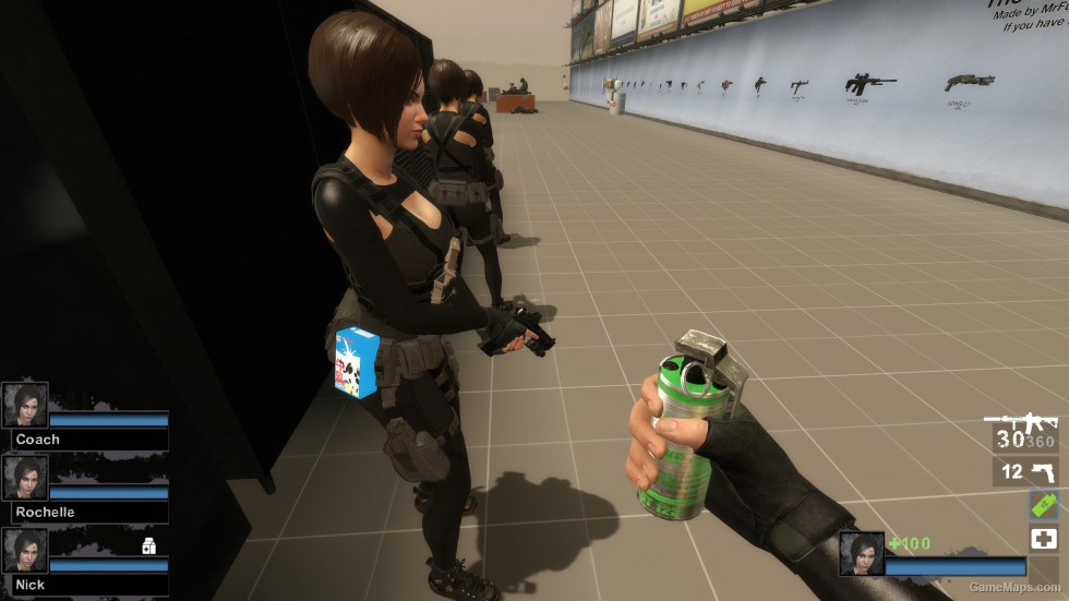 Only Zoey P tactical vest (request)