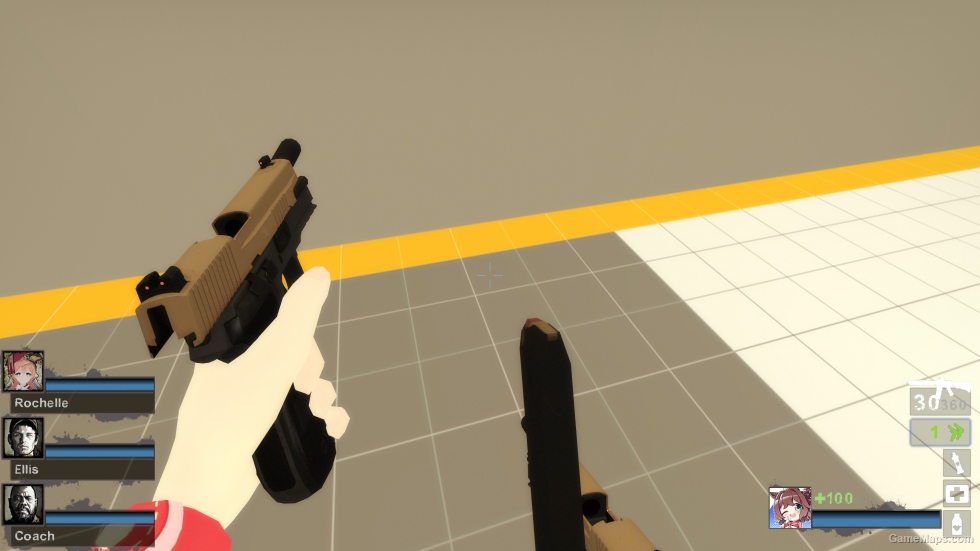 P226R (dual pistols)