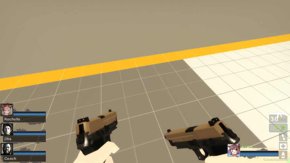 P226R (dual pistols)