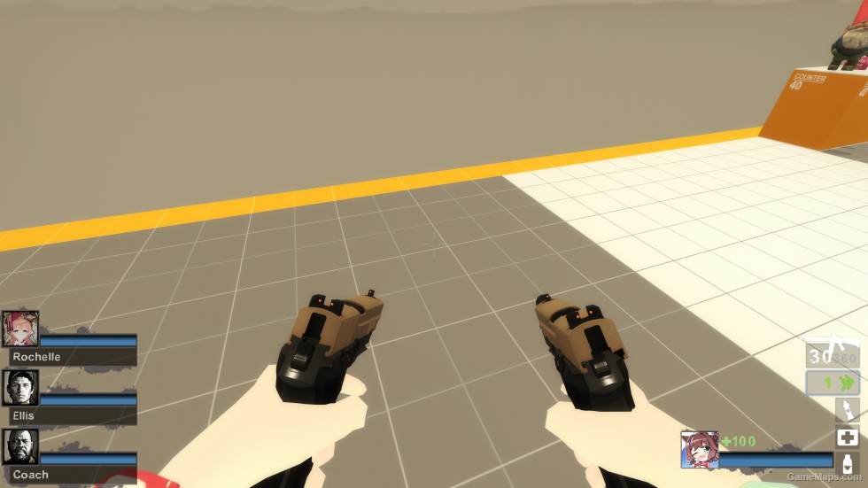 P226R (dual pistols)