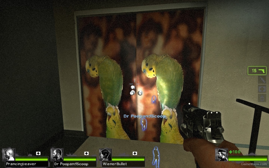 parakeet door