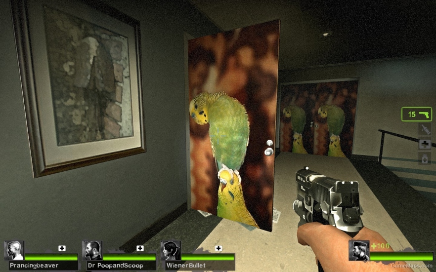 parakeet door