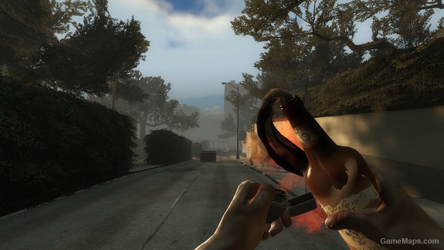 Molotov Insurgency Animations