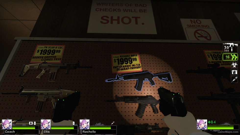 PD2 AK17 Black Edition (M16A2)