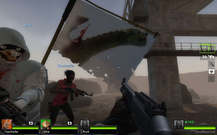 petes dragon flag
