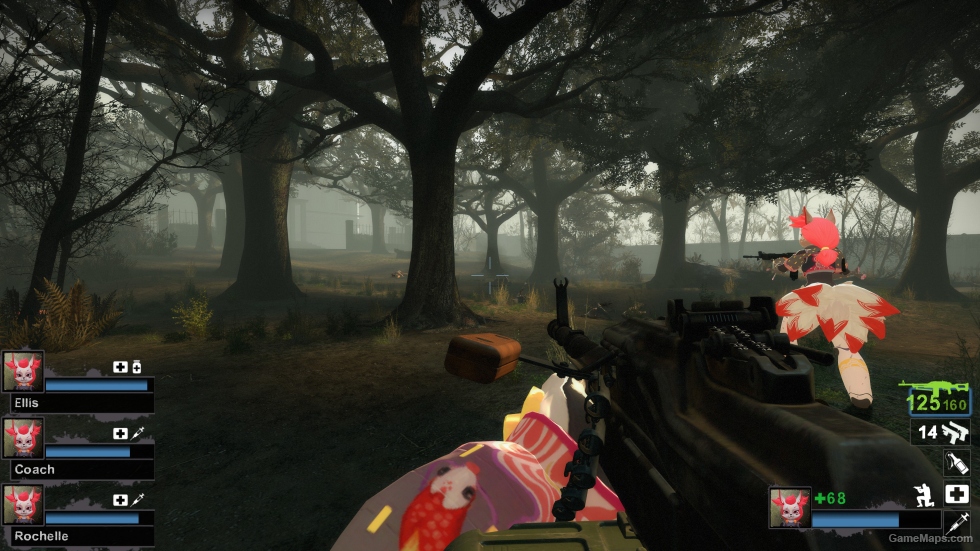 PKM MW19 Anims (Compressed - Optimized) (AKM) [request]