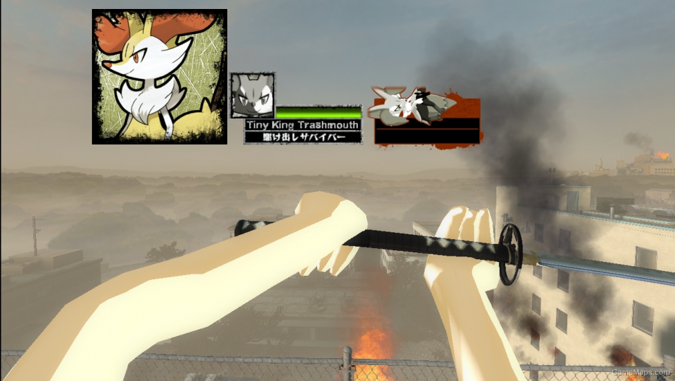 Pokemon X & Y Braixen (Rochelle)