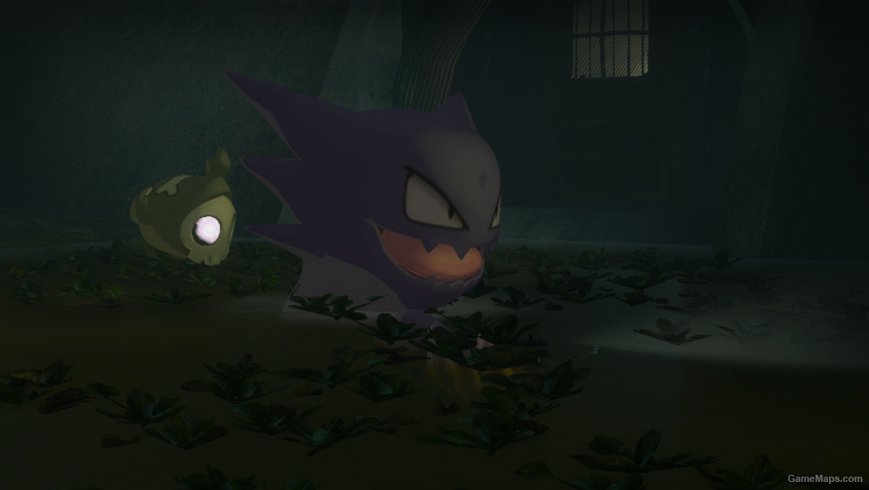 Pokemon X & Y Haunter & Duskull (Coach)