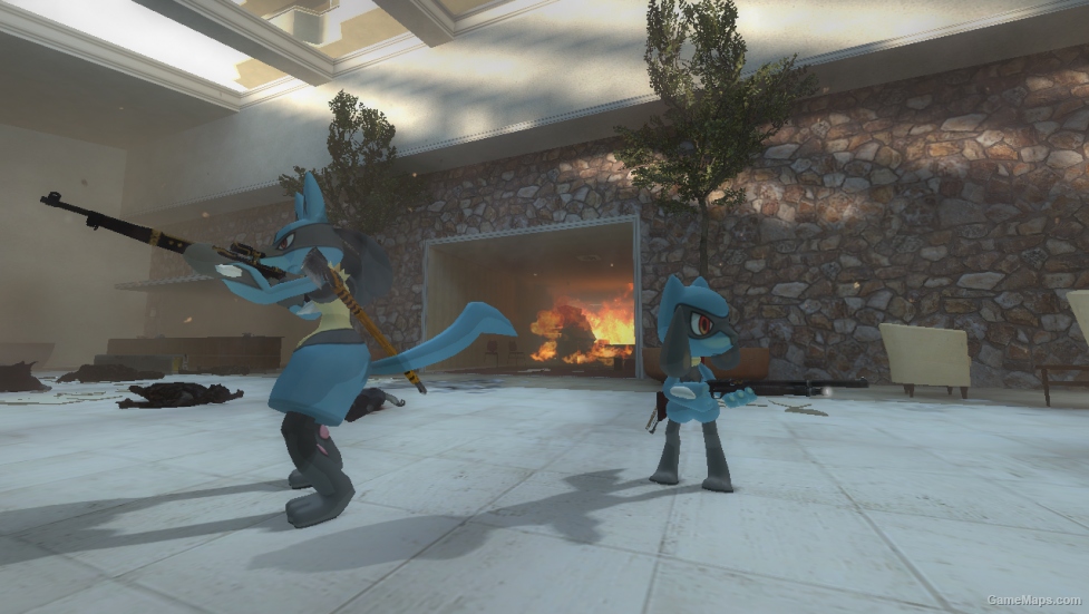 Pokemon X & Y Riolu (Ellis)