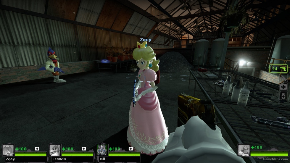 Princess Peach Zoey