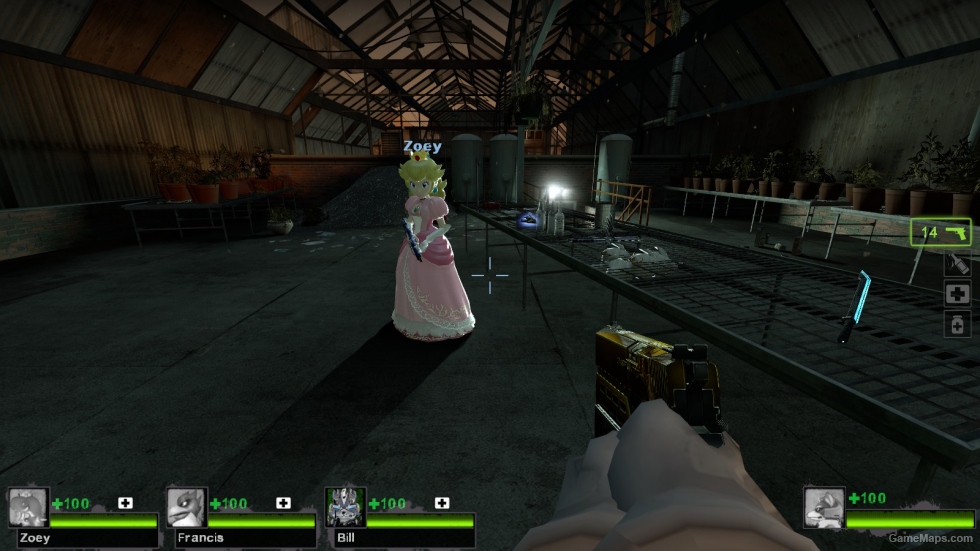 Princess Peach Zoey