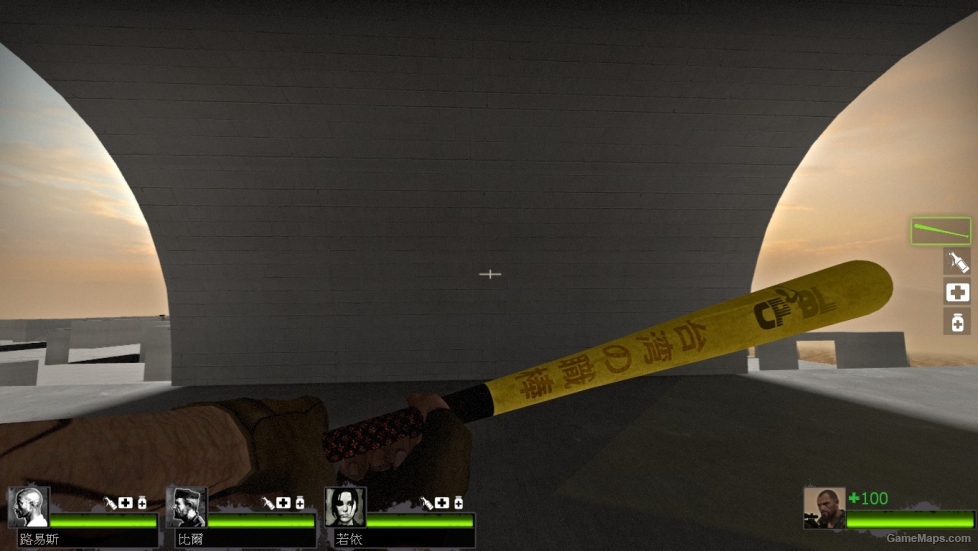 Pro Baseball Bat