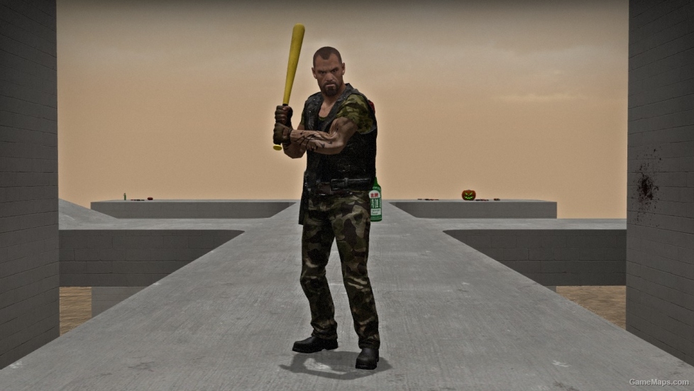 Pro Baseball Bat