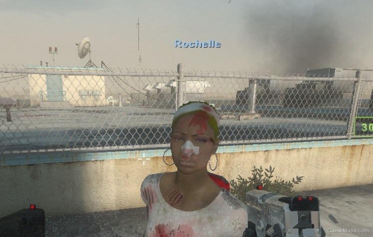 Raided Rochelle