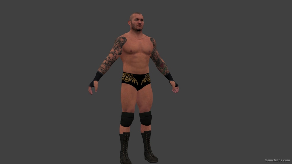 randy - randy orton yes randy