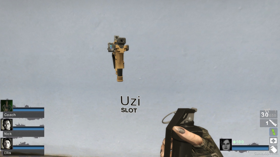 Ready Or Not Flux P320 (UZI) [request]