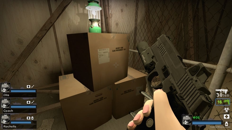 Ready Or Not P229 (Magnum) (request)