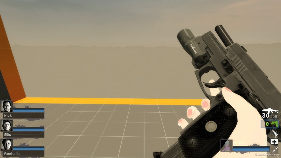 Ready Or Not P229 (Magnum) (request)