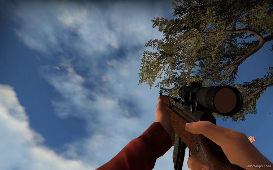 Russian SKS(hunting rifle)