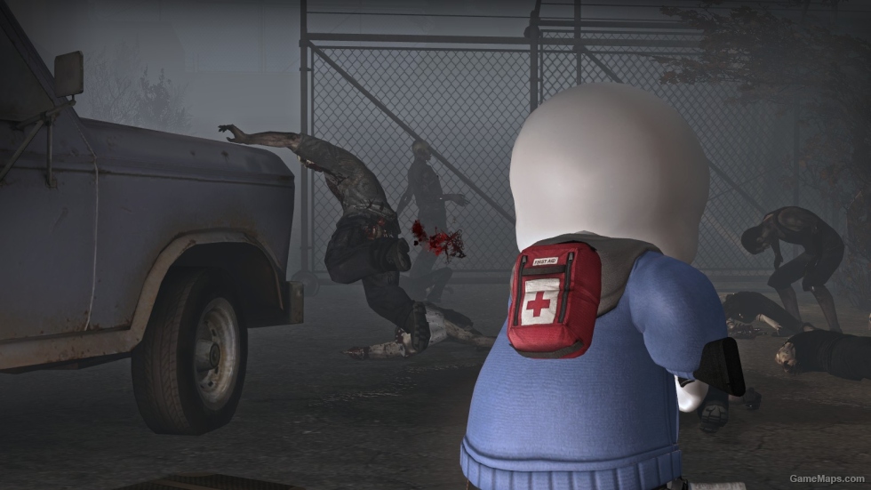 Sans Survivor (Francis)
