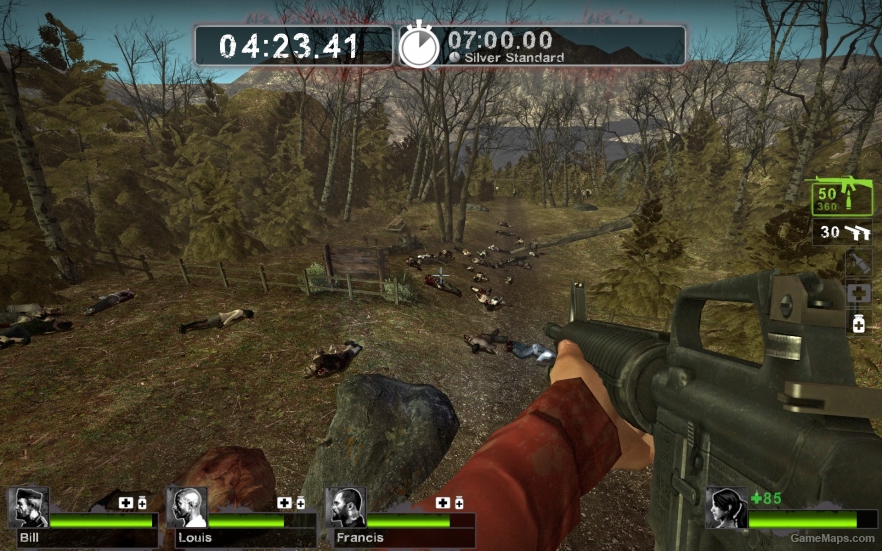 Scenic Outlook Sv. L4D1 Port