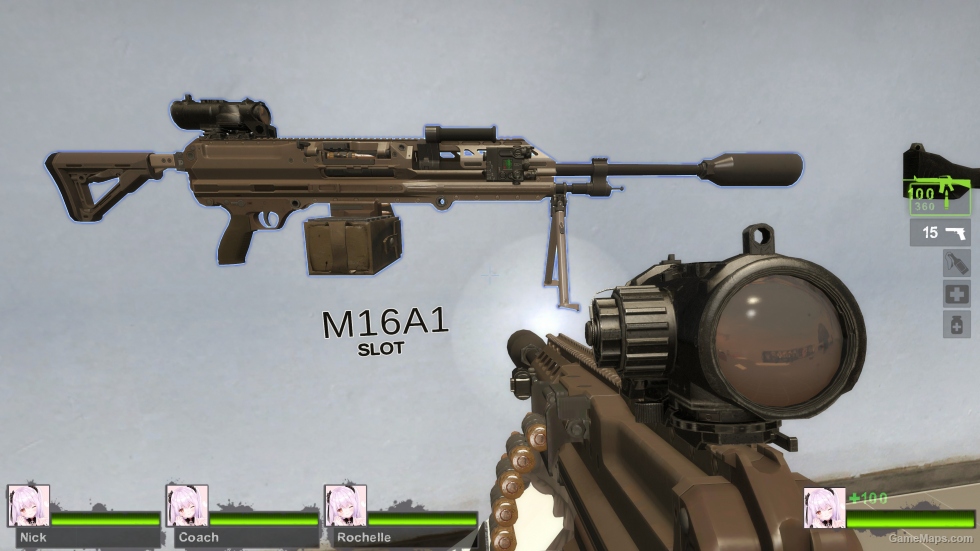 SIG MG338 (m16a2) (request)