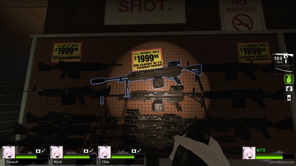 SIG MG338 (m16a2) (request)