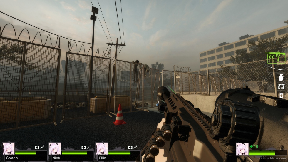 SIG MG338 (m16a2) (request)