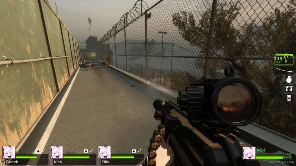 SIG MG338 (m16a2) (request)
