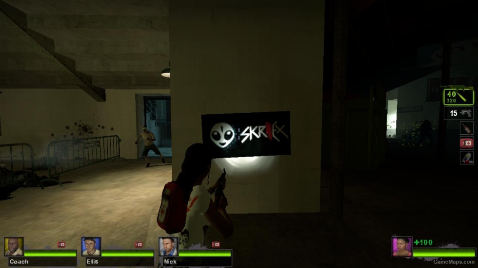 Skrillex Concert!