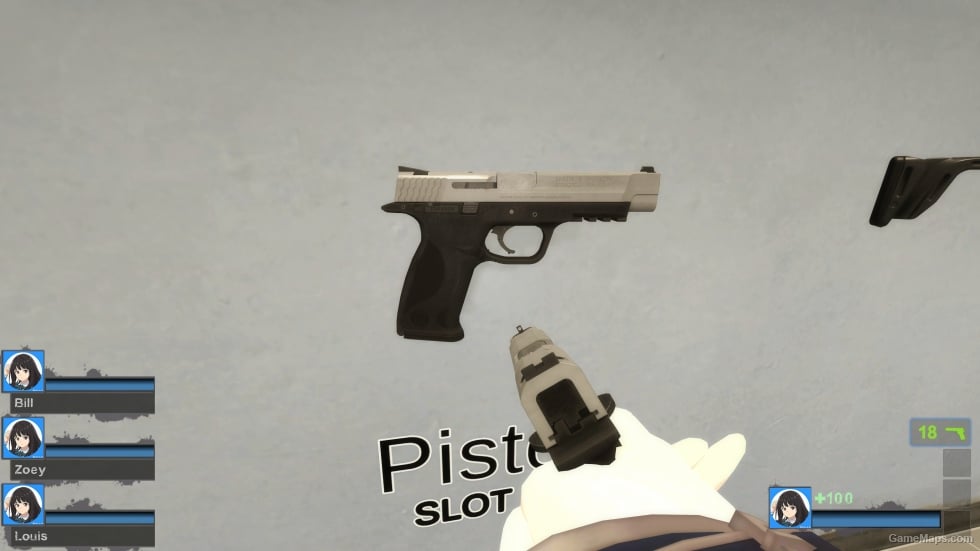 Smith & Wesson M&P9 Pro Series two-tone (9mm Pistols) (Dual pistols)