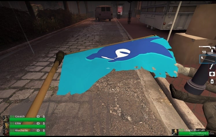 Sonic Flag