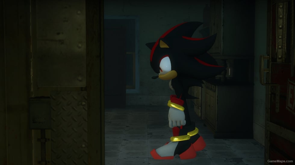 Sonic Forces Shadow the Hedgehog (Rochelle)