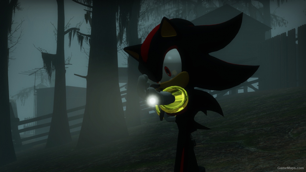 Sonic Forces Shadow the Hedgehog (Rochelle)