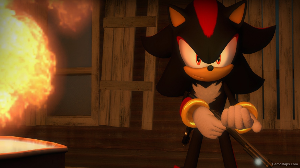 Sonic Forces Shadow the Hedgehog (Rochelle)