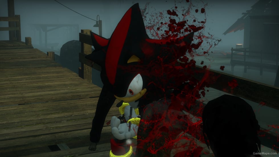 Sonic Forces Shadow the Hedgehog (Rochelle)