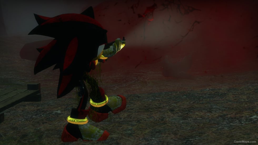 Sonic Forces Shadow the Hedgehog (Rochelle)