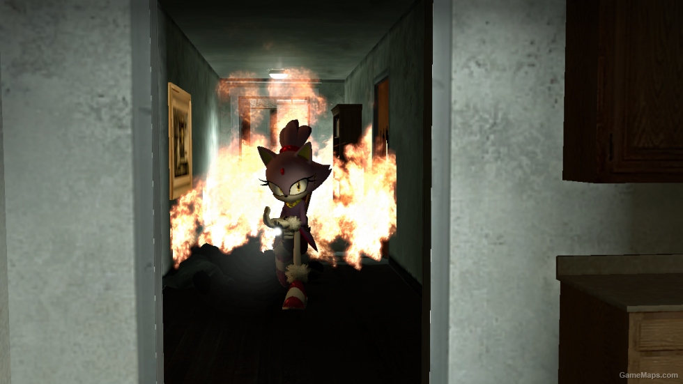 Sonic Generations Blaze the Cat (Zoey)