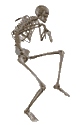 Spinner - Walking Skeleton