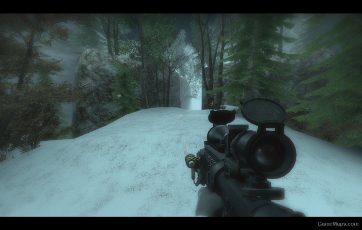 SR-25 (Military Sniper)