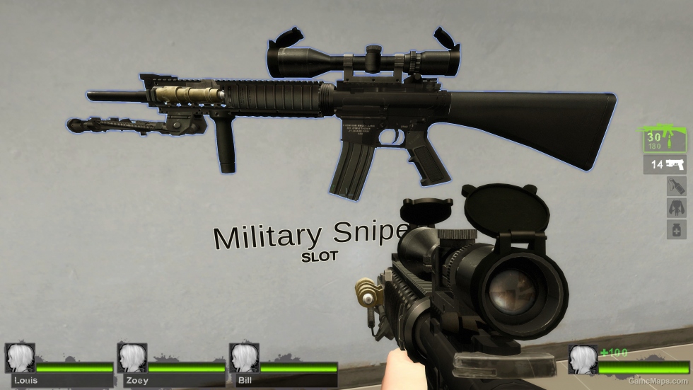 SR-25 (Military Sniper Rifle)