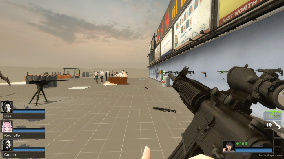 Standard Issue M16 [M16A2] (request)