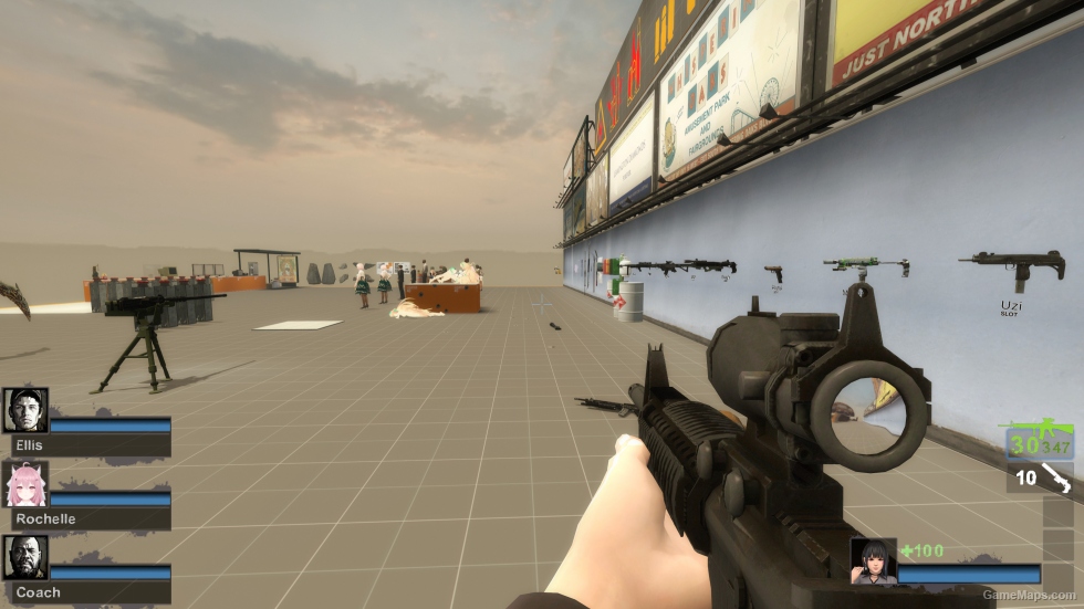 Standard Issue M16 [M16A2] (request)