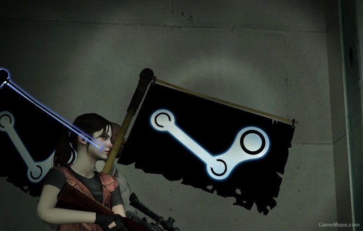 Steam Flag