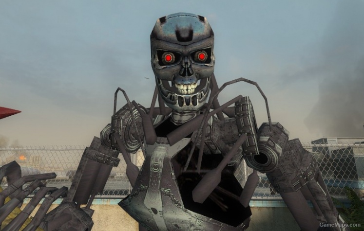 T-800 (Rochelle)