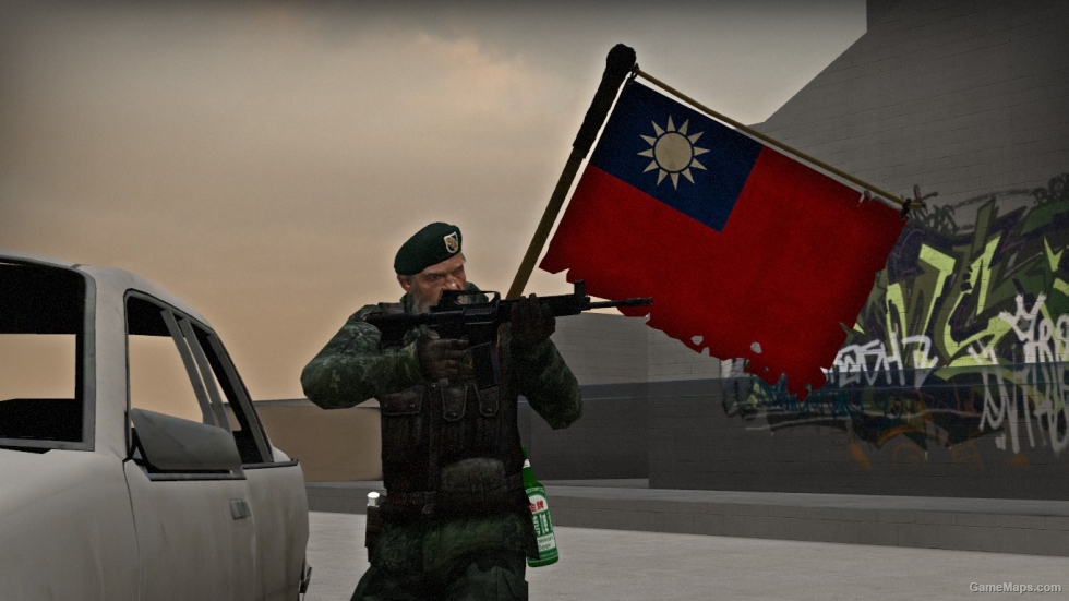 Taiwanese Flag