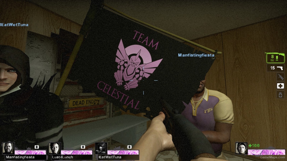 team celestial flag