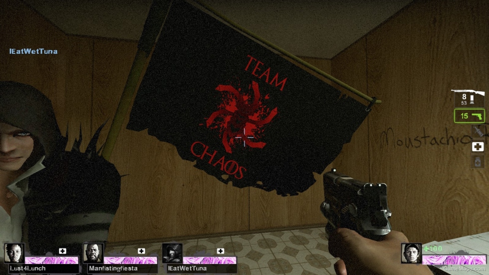 team chaos flag