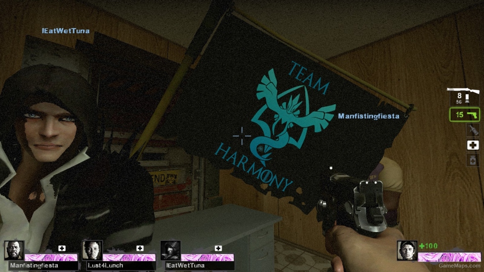 team harmony flag