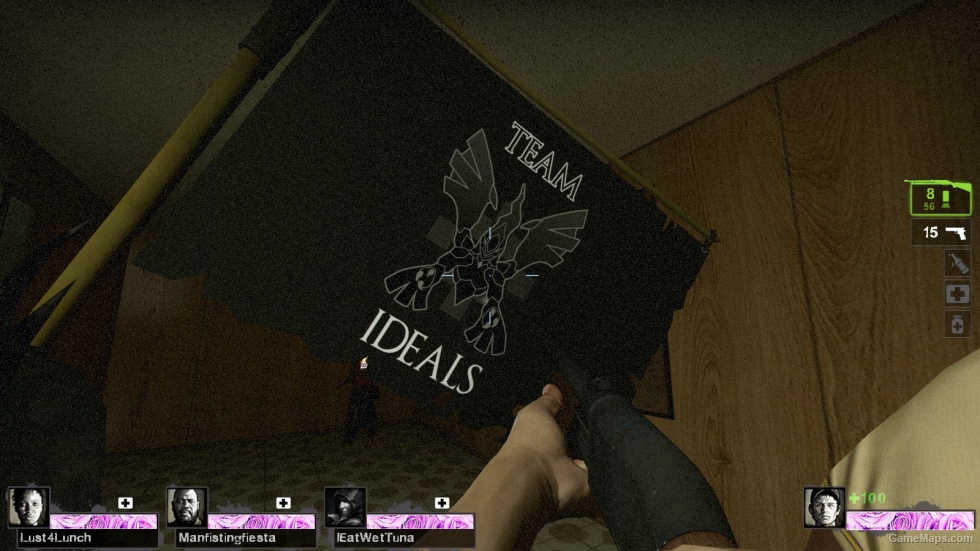 team ideals flag
